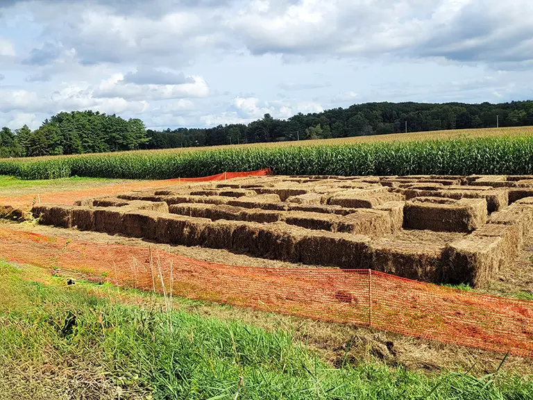 Haybales