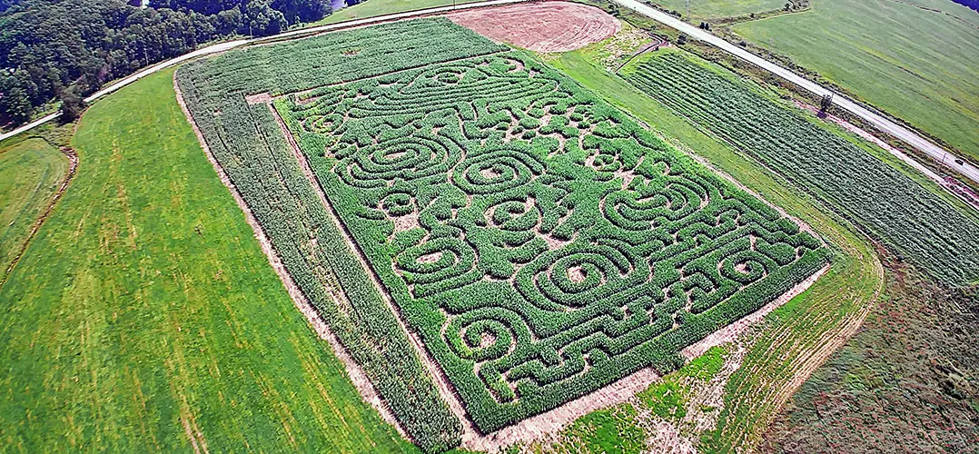 Alien Invasion Corn Maze